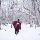 정상 이미지