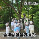 국공립호수루첸어린이집 | 유아 숲체험 장점과 효과 총정리