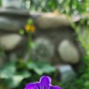 나전중학교 이미지