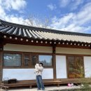 오릉 | 아기랑 가기 좋은 경주 오릉도원 작은채 후기