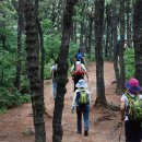 명광전기 이미지