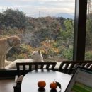 양이주택 이미지