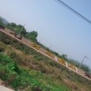 옥길농장 이미지