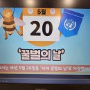 5월 20일-세계 꿀벌의 날 이미지