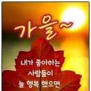 눈이보배 이미지