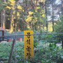 길석농장 네이버블로그