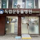 독립문동물병원 이미지