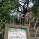 문화마을길-1 이미지