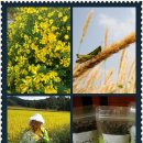 가는골농장 이미지