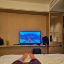 후쿠오카 2박 3일 - 2만5천보 코스 (바오바오루센트백, 단톤에코백, 우동타이라, 쓰리비포터즈, 돈...