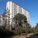 시흥능곡초등학교 이미지