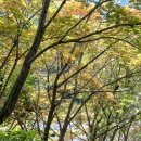 터줏대감 이미지