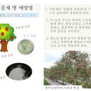 인삼에 곰팡이병류(사상균, 진균) 만연, 친환경 예방 및 치료법 이미지