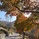 병목안시민공원 | 안양 아이와 가볼만한 곳 병목안시민공원 단풍 실시간 후기 주차 운영시간 매점