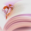 영강천변 파크골프장 이미지