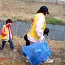 금파초교 이미지