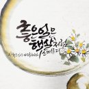 이도캘리그라피 이미지
