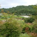 영천약수 Daum카페