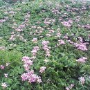 둘리농장 이미지