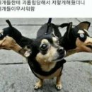 2에이치피