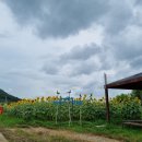 교동면 난정저수지 이미지