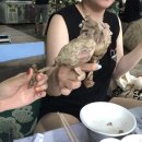 진송 이미지