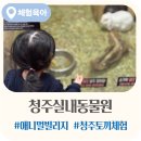 청주실내동물원 애니멀빌리지 후기 ㅣ 버드앤쥬·쥬니멀동물원 비교