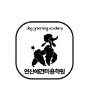 안산애견미용학원 네이버블로그
