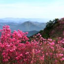 화왕산 이미지