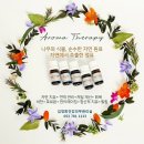 김정희오일 이미지