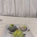 행운3길 | 동탄수능선물 연이빛 화과자 귀여운 행운화과자 후기