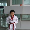 찬빈태권도체육관 이미지