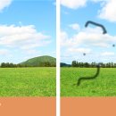 젊은눈안과의원 이미지