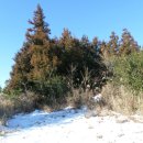 남원읍-44 이미지