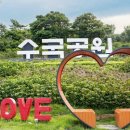 비금도·도초도 Daum카페