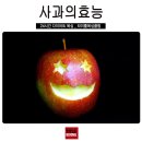 서초권투체육관 이미지