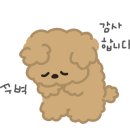 아인즈헤어(Einz Hair)