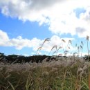 에코공원 이미지