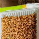 월악농장 이미지