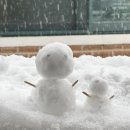 구말피 | 35회 공인중개사 합격(삼수생의 피 땀 눈물의 후기)