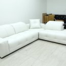 송 외과 | 국내 흉부외과 명의 송석원 교수님댁 나뚜찌 소파리폼 후기