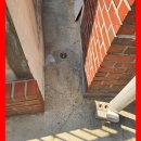 종합진입로 | 오래된 주택 진입로 깨짐 부위 부분 보수 리포트