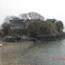 초선화