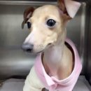 도담메디컬 이미지