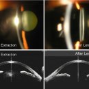 아이본안과의원 이미지