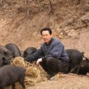 김정호 농장 이미지