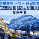 혜정농장 | 스위스그린델발트숙소추천:) 그린델발트에서 유명한 앨리스할머니네 샬레 이용후기!