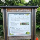 면역자연치유센터
