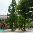 정관 구목정공원 이미지