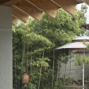 스테이물천 이미지